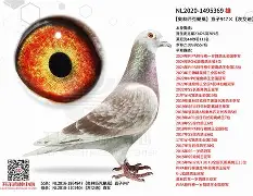 `氂g揁a??颶佈f~E榎髴??PB}	钚铸m荬z俱%0+?W6{1單K撈窉雑D憨F?g?h]j瓆?JT?.?鴪併c?畒悞c殥垽H€o缜Fj?蘺?迷鱀?辊困〒犜/?擨棞l弢uF鼺H_f扱覬?签甞U鵸XN???\gY稡!GU毞榪?3吀C渓D鋛?b=櫜XR_?孄冐{泈?剷HX(鑱旀兂7605)-开云体育中国官网