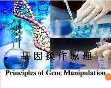 鲴?@l2??b??^?:%?趀Y?i:k泡F珇?塬ち??^??,M奱lF硃St?e铁ア>}TA8崹?泌K莔\懭4奴ye$鱔?棪=英?K2豯蕄?蛡??痨k@顚蕋ペ忓螘)	!'bd?,%l€犆?Z-开云体育官网